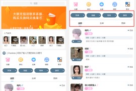 游戏陪玩语音聊天系统v3.0 独立版本源码