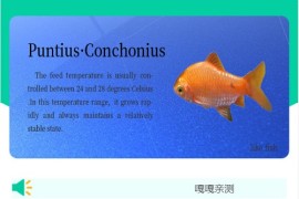 养鱼金融投资理财源码 支持商城 抽奖 投资收益余额宝等！ 双语言支持中英文
