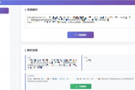 多平台短视频解析水印 v3.0 程序源码+视频解析工具