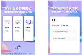 MBTI十六型人格职业性格测试源码完整版