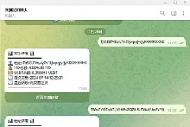 波场地址查询机器人/trx/usdt地址查询/简单文本教程