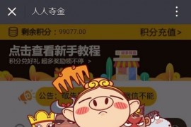 完整可运营的人人夺宝程序源码