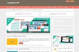 WordPress主题 Wpdx v3.5 模板源码 博客/杂志/CMS主题/自媒体