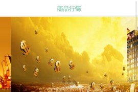 「亲测」2021运营级币圈微盘微交易源码 带结算+K线/走势曲线正常+完整服务器打包+搭建教程