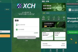 BZZ分币系统/PHA分币系统/XCH/chia分币 奇亚分币系统/BTH/ETH挖矿