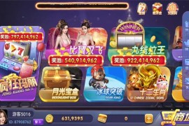 【终身会员免费】91电玩城荣耀二开组件 28个子游戏+带独立pc端