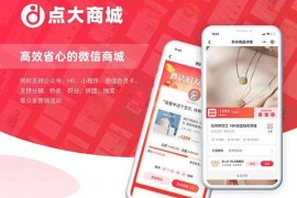最新微信公众号商城源码-点大商城系统v1.4.8多开版