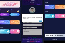 H5交友脱单小纸条盲盒解密授权版 分销提现免签支付可封装APP带视频教程
