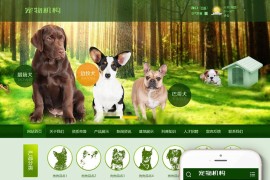 织梦模板 绿色宠物狗 机构类网站源码 带手机端