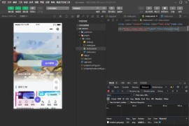 网址打包微信小程序源码 wap转微信小程序 网站转小程序源码 网址转小程序开发