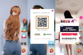 H5随机短视频滑动版带打赏源码