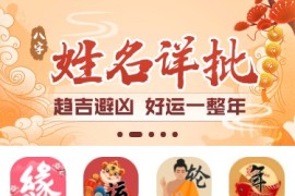 「亲测」2022年新版付费在线算命源码-逗号联盟接口版本+搭建教程