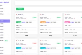 安全宝网络验证系统V1.28.1001旗舰版最新版