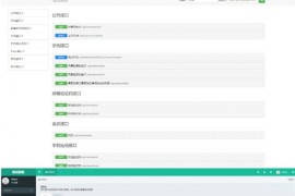 新刷脸支付API接口源码 FastAdmin开发
