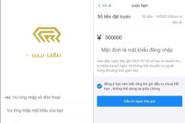 二开越南语投资理财金融理财众筹程序