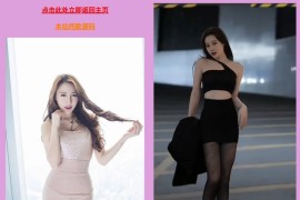 随机小姐姐美女鉴赏php源码