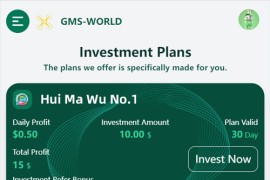 海外数字理财共享投资理财/英文投资理财源码