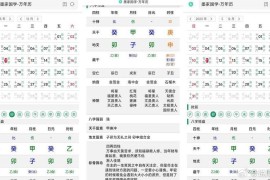 九龙道长同款万年历源码 全网首发