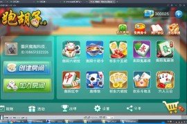 跑胡子合集视频教程