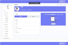 【亲测】小西瓜API接口集合管理系统源码
