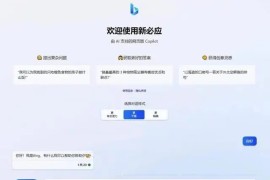 微软 New Bing 完美聊天机器人源码，支持 ChatGPT 提示词