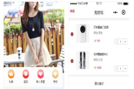 新电商营销商城小程序模板源码下载