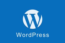 WordPress 限制不同用户角色可上传的文件类型及大小
