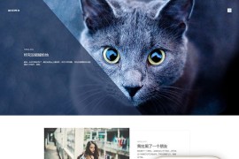 织梦HTML5清新文艺个人博客文章类织梦模板(支持移动设备)