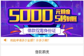 2020最新会员版小额借贷、贷款系统源码 个人免签Pay支付