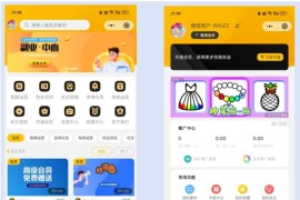 个性化知识付费平台 仿知识蝉小程序源码