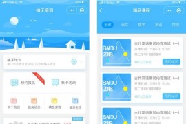 柚子学习教育职业培训小程序源码