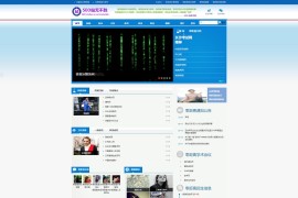 2020最新正版零距离泛目录程序 5天权7网站的操作程序+搭建教程