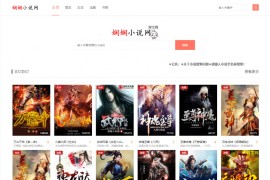 小说网站程序 娴娴小说网站源码 PC+WAP手机版