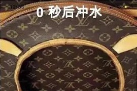 抖音直播云蹦迪、挤地铁、冲马桶源码+软件 带教程 