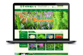 织梦模板 绿色景观 树木种植 景观绿植苗木农业种植网站模板自适应手机