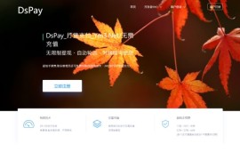 「亲测」PHP聚合支付源码下载-DSpay个码免签支付源码 带监控app+多个支付通道自动轮训+代付