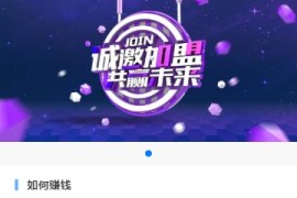 2020亲测金融贷款网站源码 带三级分销代理佣金系统+免签支付