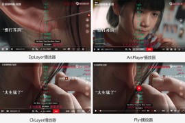 苹果CMS超级播放器专业版V1.0.8：无需授权和加密