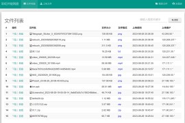 彩虹外链网盘V5.5更新 修复部分云存储下载中文名乱码