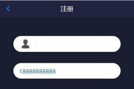 2020亲测Thinkphp内核风控微信支付宝抢单跑分系统源码+N种支付方式+搭建教程