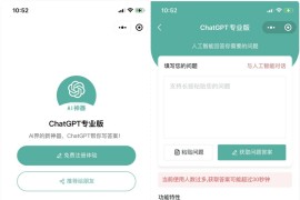 火爆全网的ChatGPT小程序页面模板，让AI回答你的任何问题