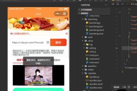 最新版本的橙色前端微信去水印小程序源码