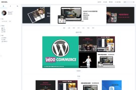 wordpress博客主题&相册主题reBorn更新至5.1版本
