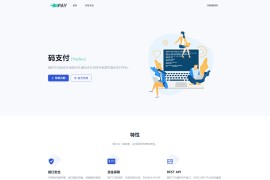 全新版本码支付个人免签支付系统源码 ThinkPHP框架开发 全开源 亲测