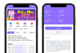 京东淘包唯拼会智能自动抢单系统源码V8.0 支持封装安卓苹果APP