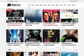 WordPress BT电影资源BT种子采集网站源码整站打包 带数据