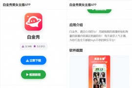 APP软件下载页 App应用推广页面 app下载推广引流源码 软件app导航页面 带管理后台