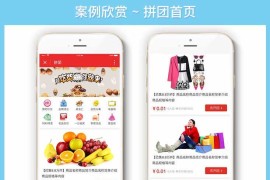 购物拼团小程序拼团商城商业源码下载