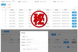 魔方远程时时获取短信内容APP带搭建文本 前端Vue 后端Ruoyi框架