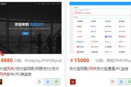 2020最新免签支付源码-网银支付/支付宝网关软件/PC端监控源码